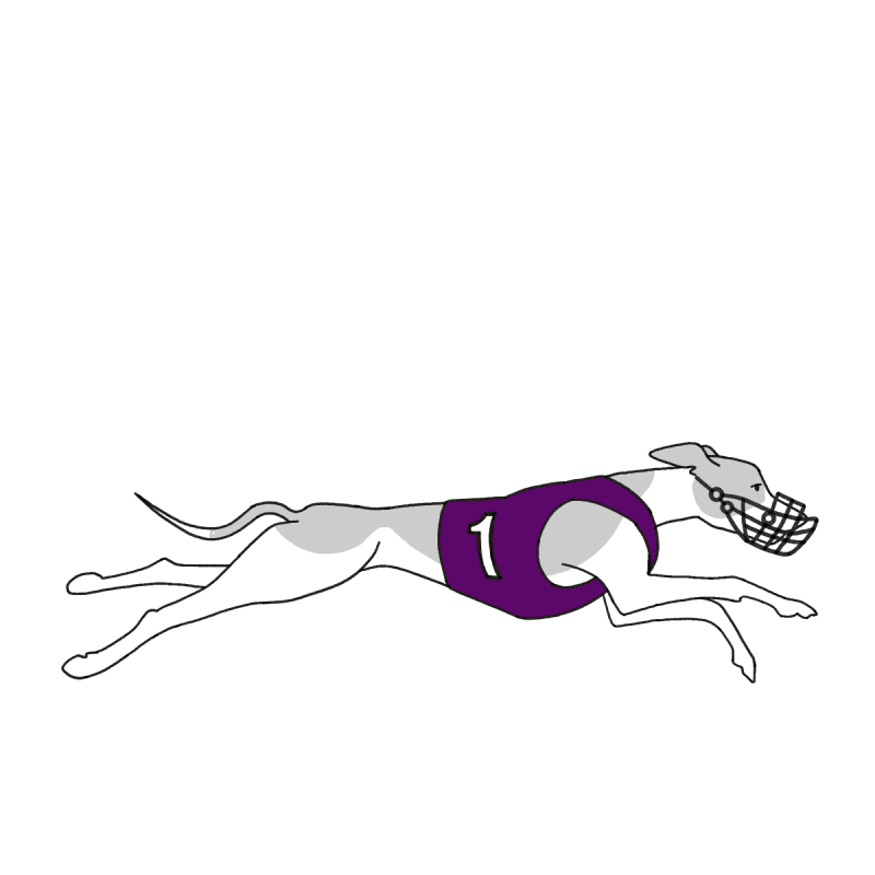 Greyhound Racing